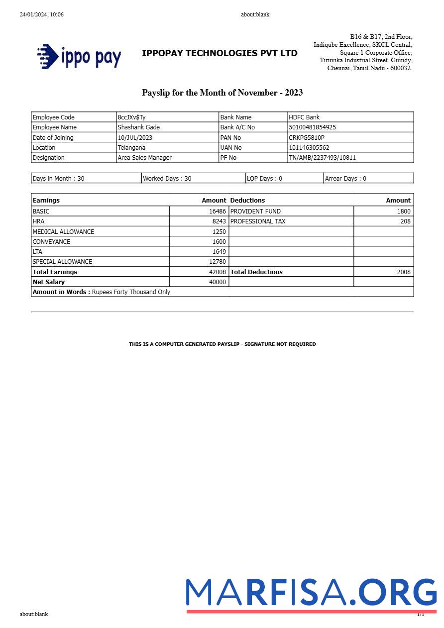 Blank IppoPay Technologies payslip example